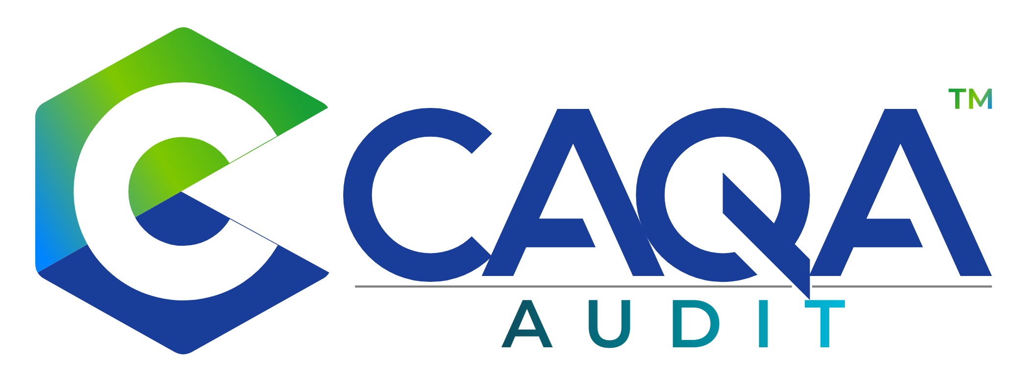 CAQA Audit logo CAQA Audit logo
